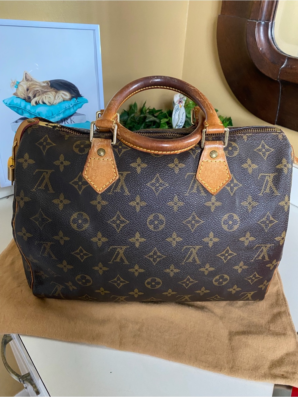 Louis Vuitton Monogram Canvas Speedy Handbag in Brown & Tan - Picture 3 of 16